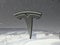 2024 Tesla Model Y Long Range RWD