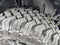 2025 Jeep Wrangler Willys 4 Door 4x4