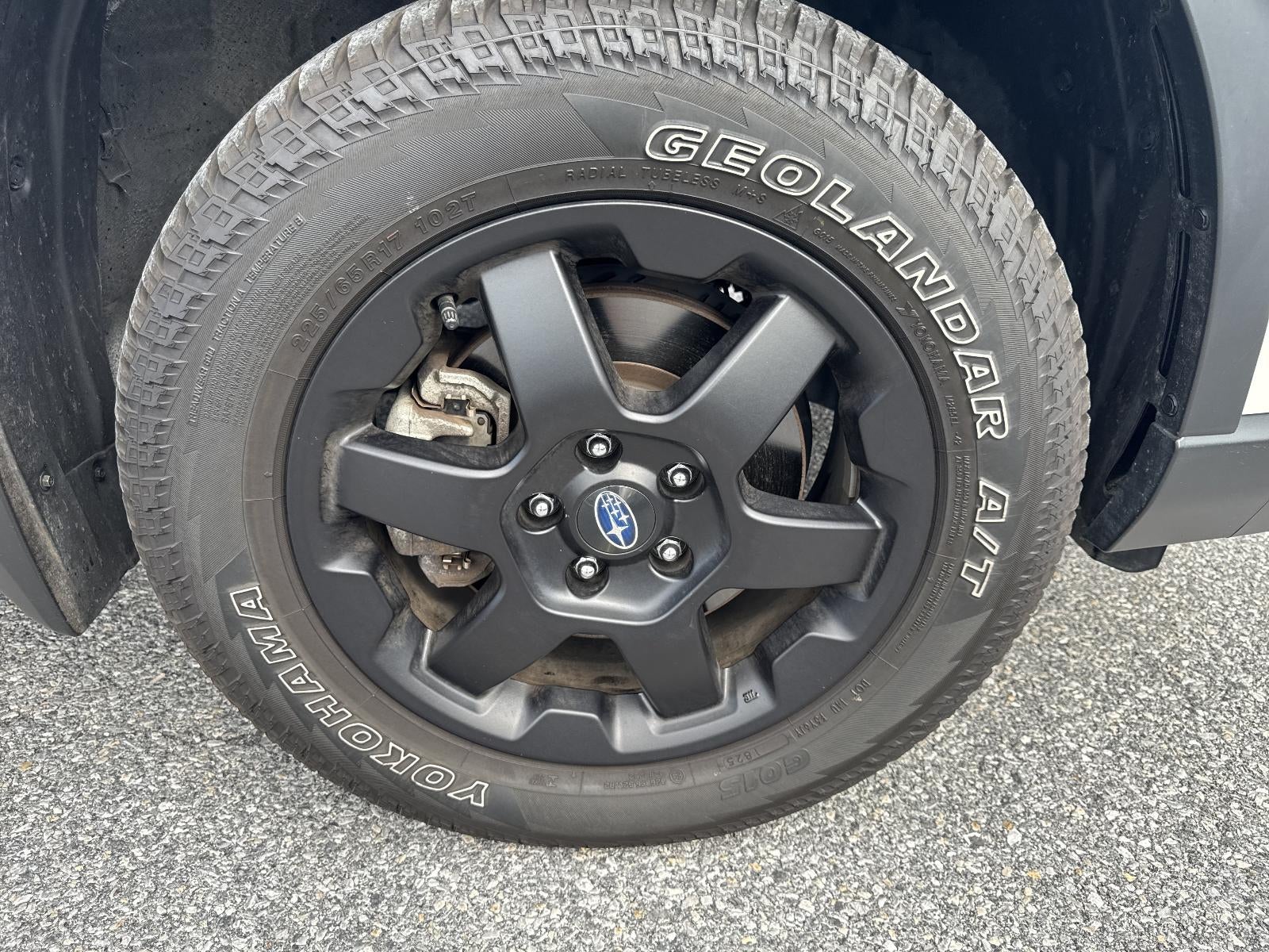 2025 Subaru Outback Wilderness AWD