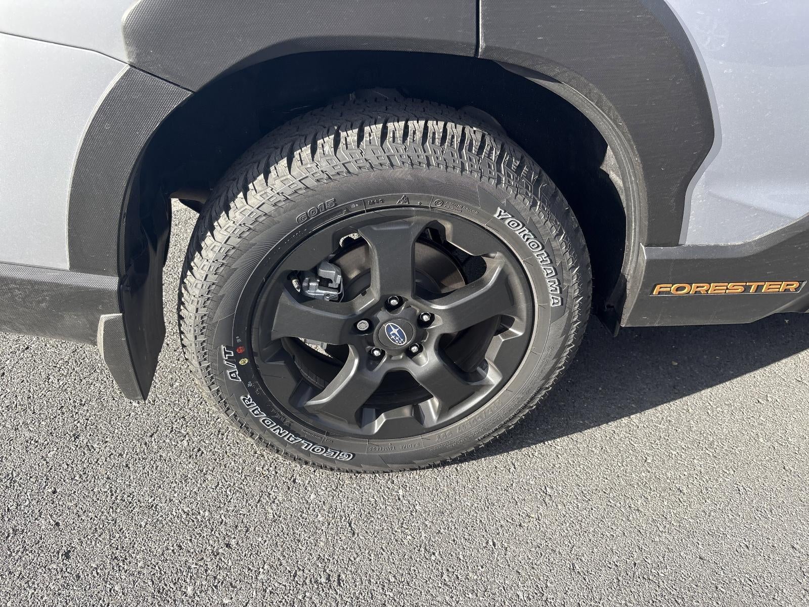 2025 Subaru Forester Wilderness CVT