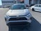 2023 Toyota RAV4 XLE AWD (Natl)