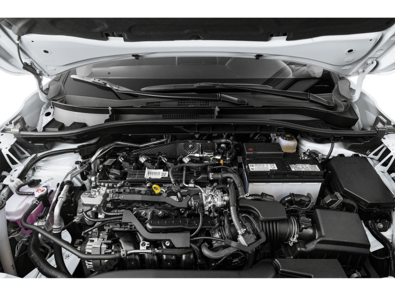 2024 Toyota Corolla Cross XLE 4WD (Natl)