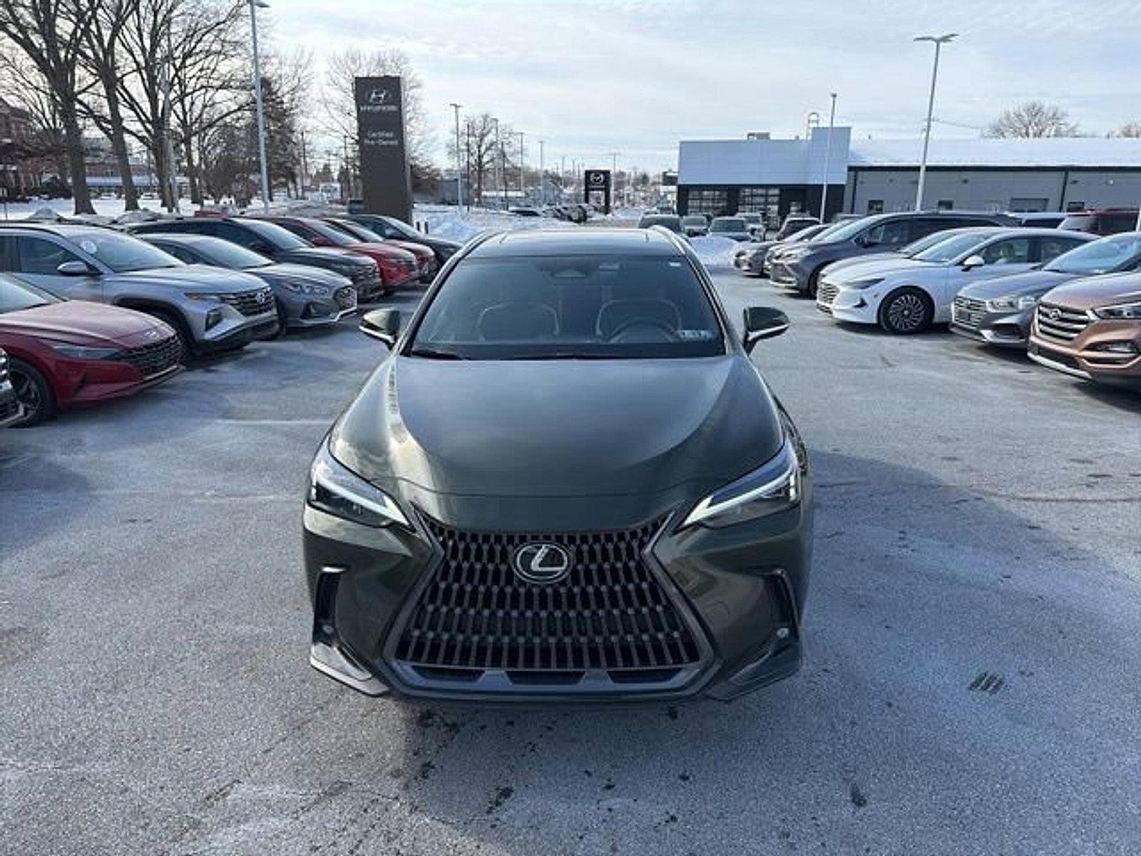 2024 Lexus NX 350 NX 350