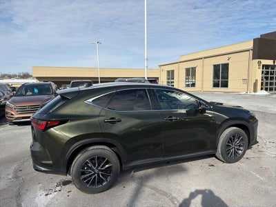 2024 Lexus NX 350 NX 350