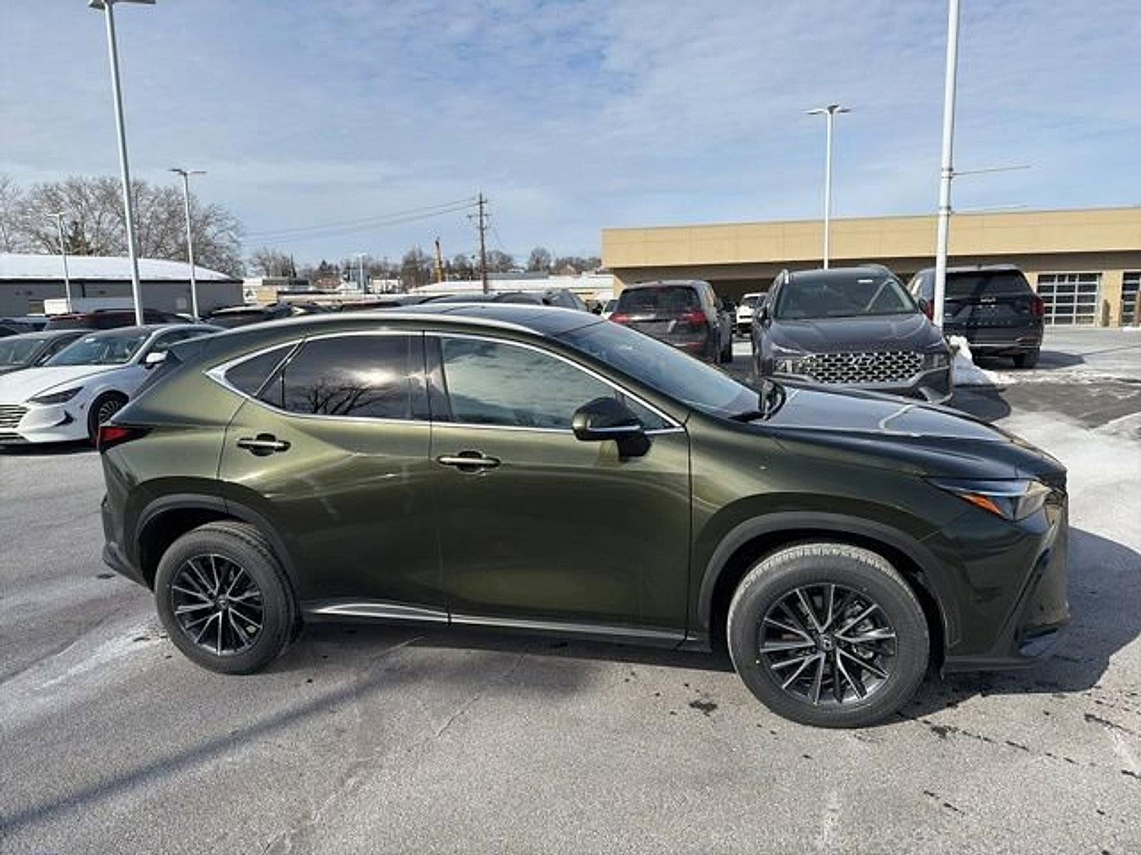 2024 Lexus NX 350 NX 350