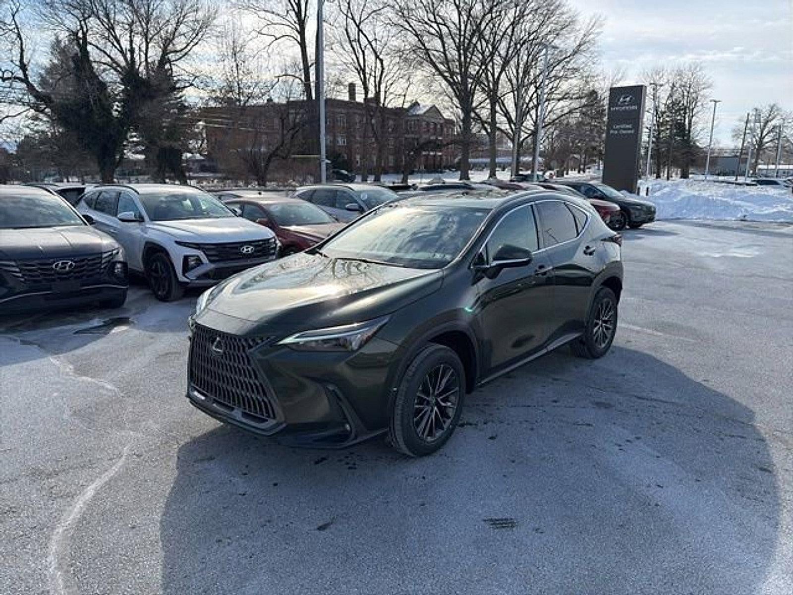 2024 Lexus NX 350 NX 350